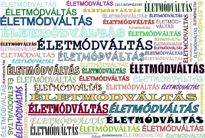 PREMIUM HEALTH CONCEPT MILYEN EGY JÓ TANÁCSADÁS Életmódváltás /saját elhatározás: minden a