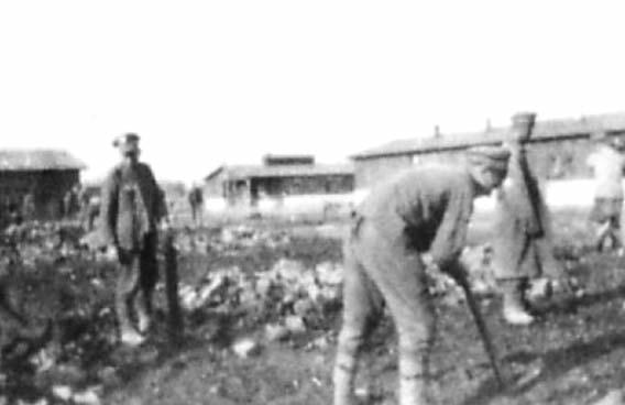 A hadifoglyok fölhasználása köz- és magánmunkákra. (Bécs, junius 25.
