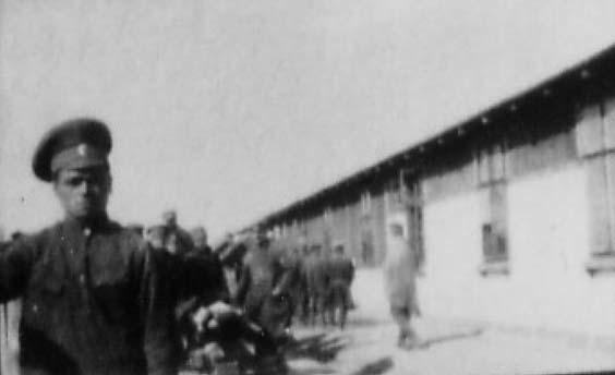 1918. július 1. 54 577 fő, ebből 50 886 munkára kiadva, 3691 a táborban 641 olasz, munkára kiadva 0 1918. augusztus 11.
