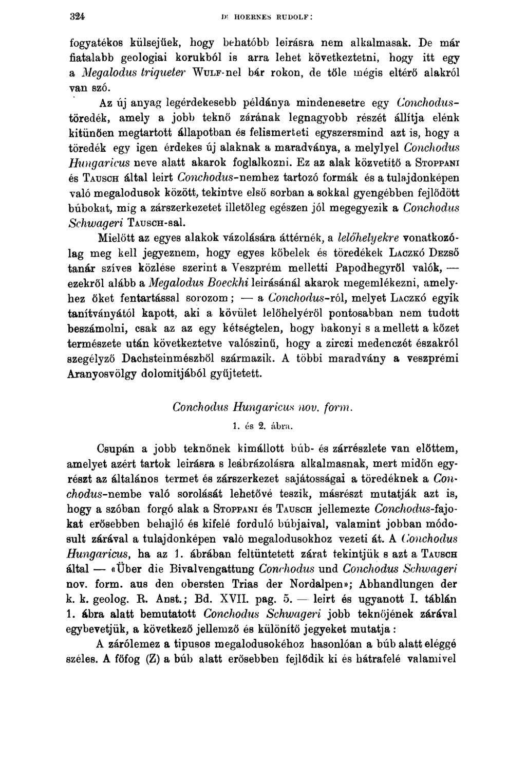 324 ÍK HOERNES RUDOLF: fogyatékos külsejűek, hogy behatóbb leírásra nem alkalmasak.
