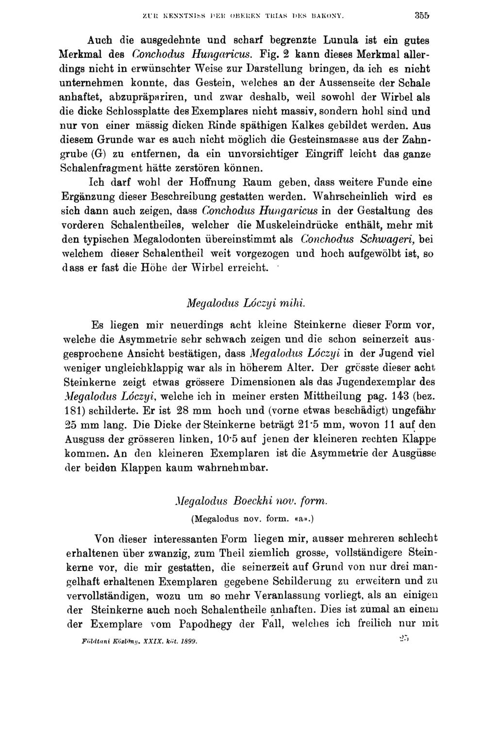 ZUK KENNTNIS«DEK OKKliEN TI;[AS DES liakony. 355 Aucb die ausgedehnte und scharf begrenzte Lunula ist ein gutes Merkmal des Conchodus Hungaricus. Fig.