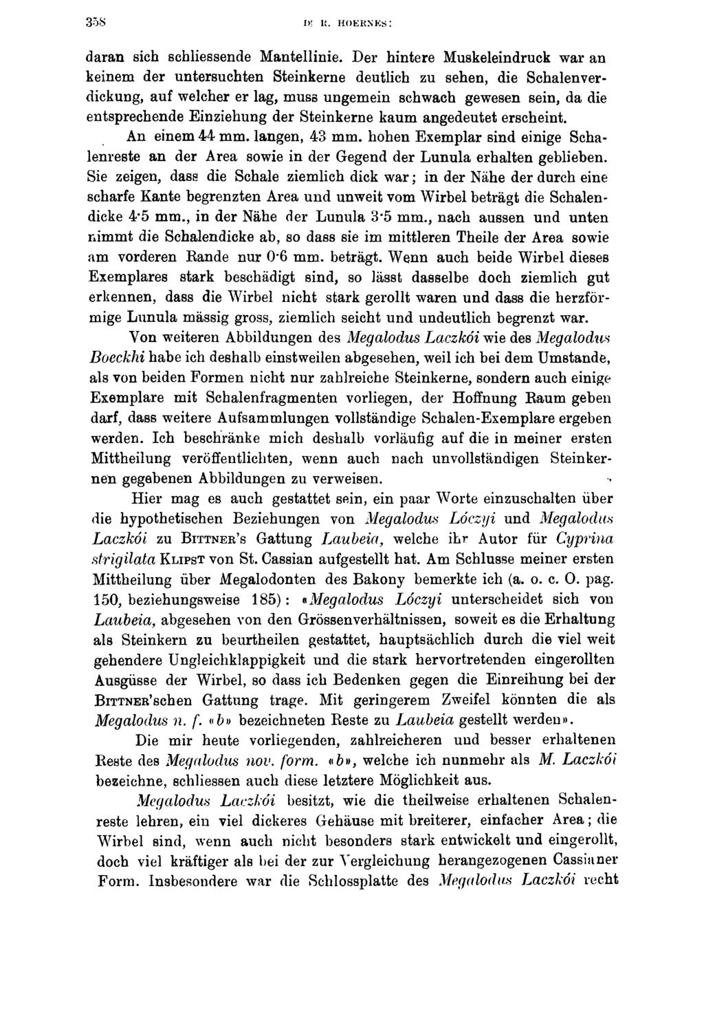 35S IK li. HOEKNKs: daran sich schliessende Mantellinie.