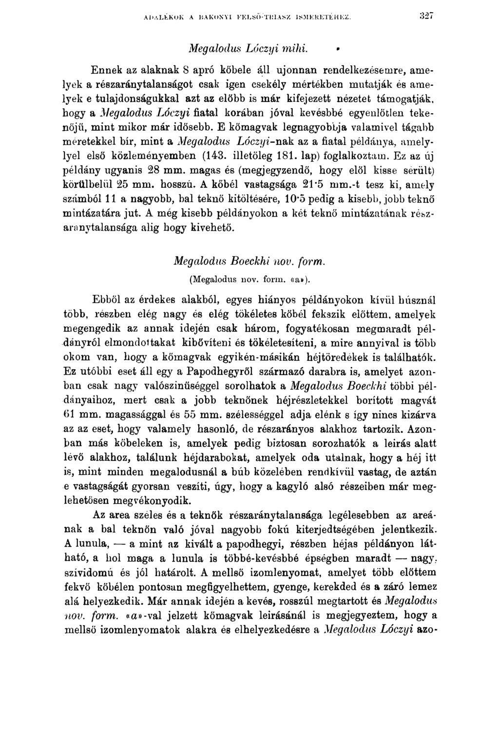 ADALÉKOK A BAKONYI! ICL S T1! IA S Z ISMKHKTÉHKZ. 327 Megalodus Lóczyi mihi.
