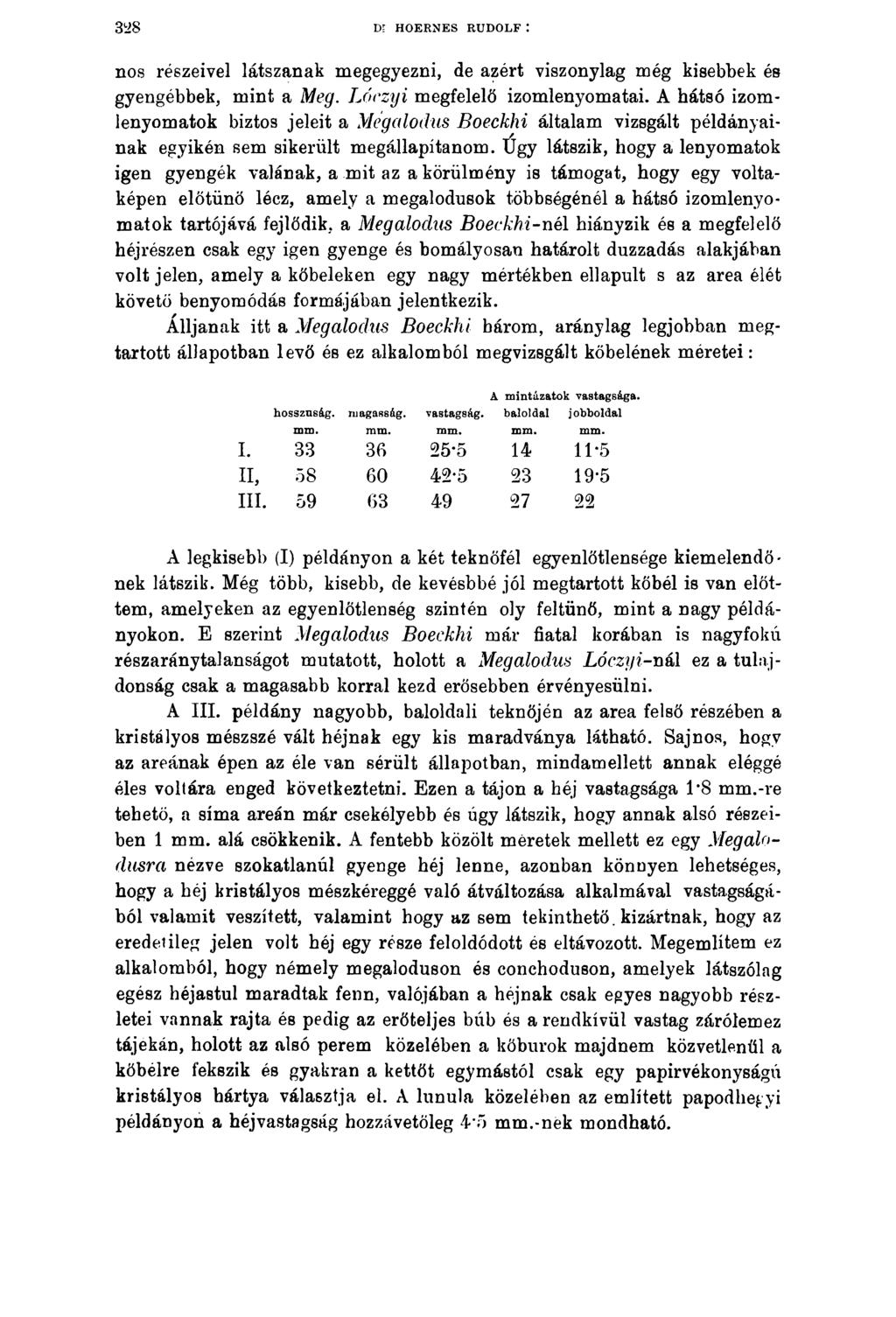Dr HOERNES RUDOLF : nos részeivel látszanak megegyezni, de azért viszonylag még kisebbek és gyengébbek, mint a Meg. Lóczyi megfelelő izomlenyomatai.