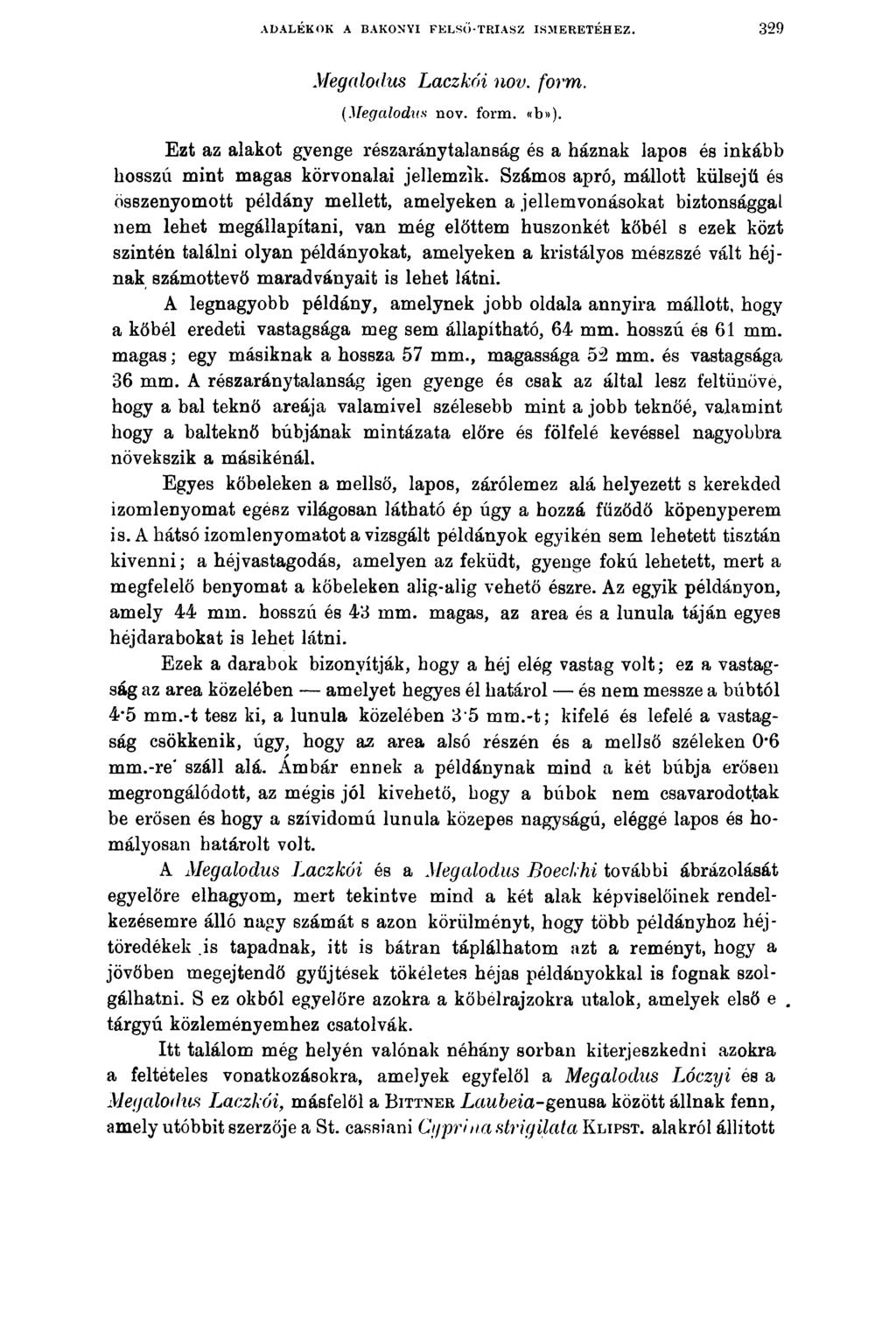 ADALÉKOK A BAKONYI FELSŐ-TRIASZ ISMERETÉHEZ. 329 Megalodus Laczkói nov. form. (Megctlodas nov. form. «b»).