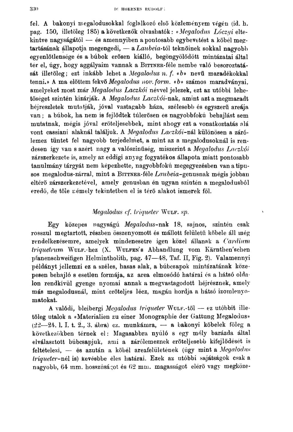 3 3 0 K HOEKNES RUDOLF: fel. A bakonyi megálodusokkai foglalkozó első közleményem végén (id. h. pag.