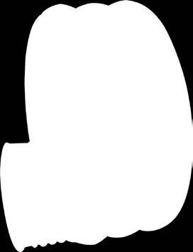 143 QXS3120 300/250* 400/200* 338 450 282 225 312 252 289 433 143 291 QXS3125 QXS4020 400/250 450 282 312 449 291 QXS4025