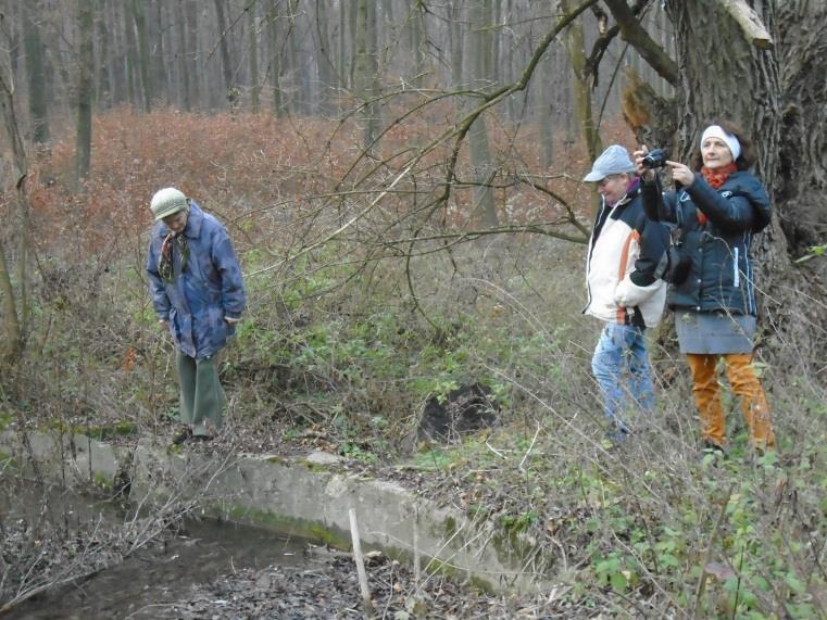 volt 120 fős tanuló-létszámmal,nyáron pedig üdülőtábor.