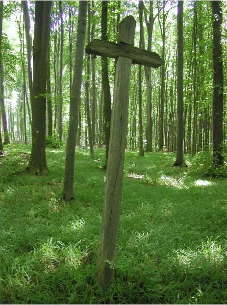 keresztet dokumentált a javaslat benyújtója.