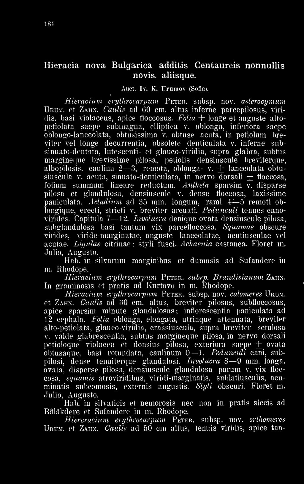 obtuse acuta, in petiolum breviter vei longe decurrentia, obsolete denticulata v.