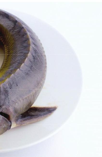 Széll Tamás a magyar chef és társai több hónapig kísérleteztek, gyakoroltak a kecsegével, hogy kihozzák belőle a legjobbat. Sikerült. Ezek, a versenyen felhasznált kecsegék Ercsiben, a Neptun Bt.