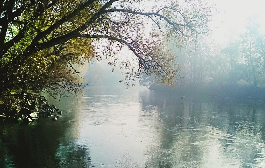 folyóink, pl. a Tisza vagy a Duna kisebb sodrású szakaszai mentén. Itt inkább csak kisszerszámos halászatra van lehetőség, és ezt szinte kizárólag helybéli emberek gyakorolják.