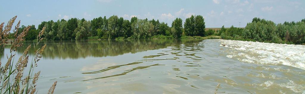 Köszönöm a megtisztelő