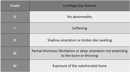 Outerbridge Classification Outerbridge