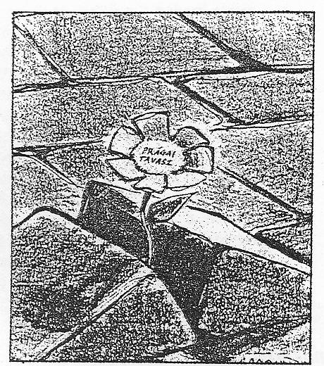 (E/4) Válaszoljon a karikatúrákhoz kapcsolódó kérdésekre! 1.