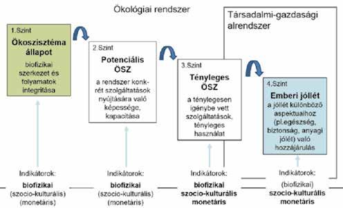 a természeti tőke részének tekinti az ökoszisztémákat (tőkeállomány), s az ezek által nyújtott szolgáltatásokat (áramlás) köti össze a jólléttel (Costanza et al., 2014).