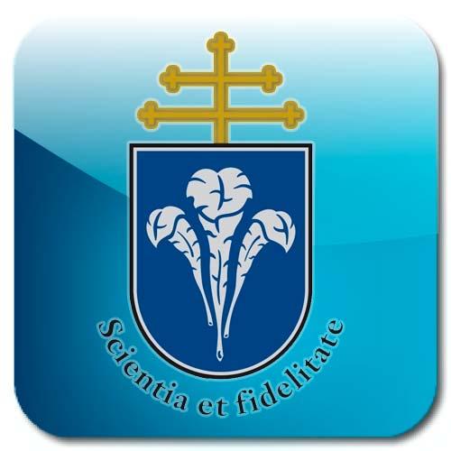 és megoldási kísérletek a székesfehérvári