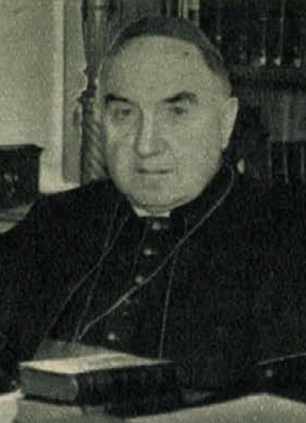 Hanauer Á. István (1869 1942), az 1920-as és 1930-as évek iskolapüspöke 1892-ben szentelték pappá, majd egyből a veszprémi szeminárium spirituálisa lett.