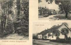 Petrichevich-Horváth 6000 20856.