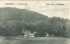 Mezőtelegd, Tilea gd; Gróf