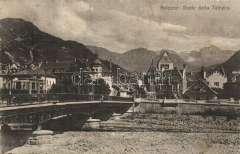 1899 Bolzano, Bo zen