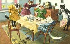 22903. Cats.