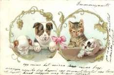 Cat ladies scare d of mice.