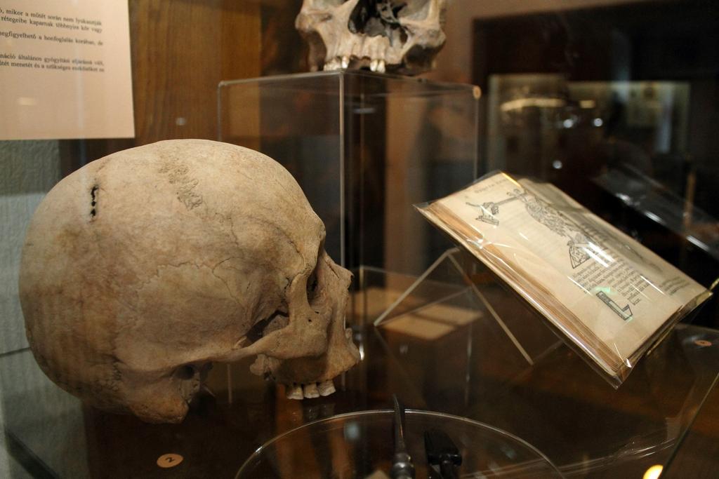 53 KIÁLLÍTÁSOK / EXHIBITIONS Tárgy Történet Nagyítás A Tárgy Történet Nagyítás sorozat lényege az, hogy állandó kiállításunkat mozgalmassá tegyük, legizgalmasabb részeit kiemeljük, és részletesebben