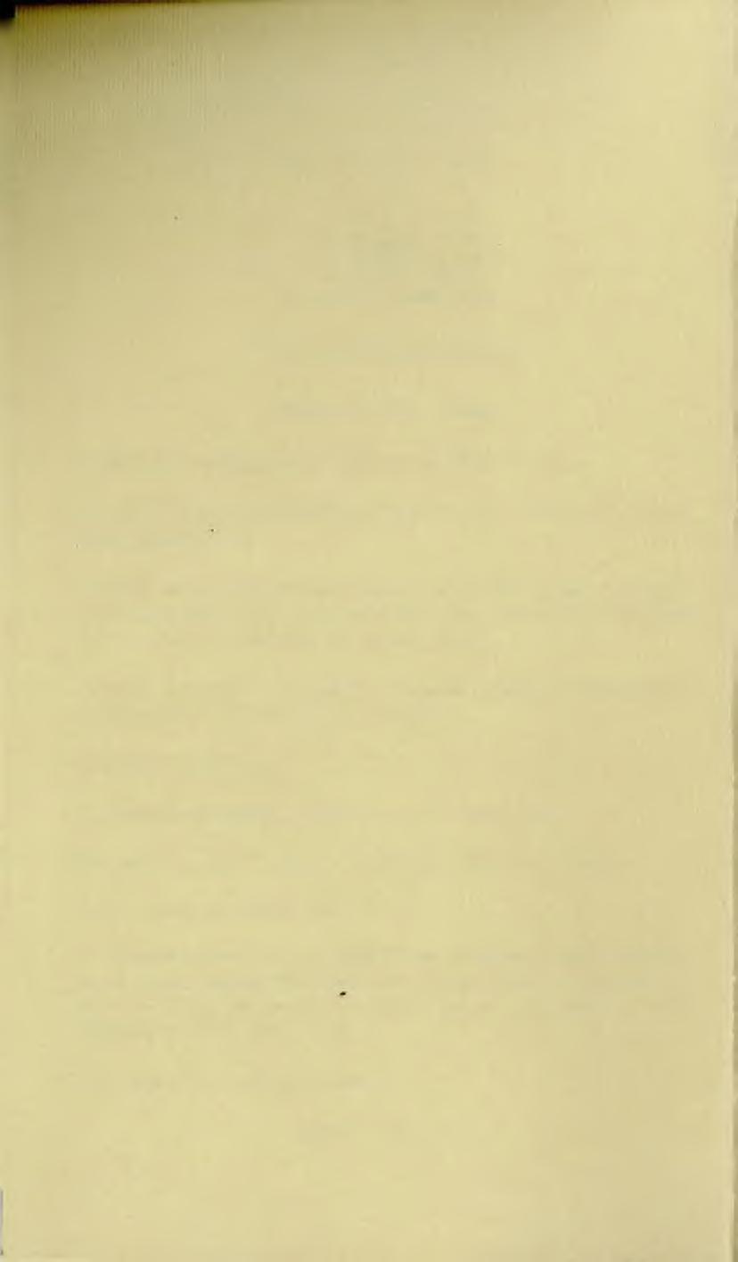 Folyóiratunk támogatója nka Nemzeti Kulturális Alap Egyháztörténeti Szemle 2009. X. évf. 4.