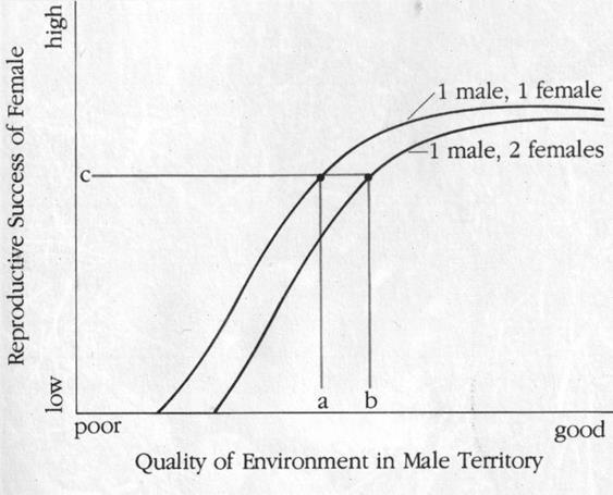 (b) territórium jobb minőségű, mit az (a) A tojónak megéri egy már párosodott hímhez csatlakozni a (b) territóriumon, mivel ugyanakkora szaporodási sikert realizálhat RS (c), mint az (a)