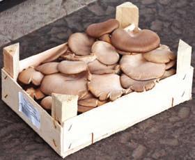 Frissen reszelt torma,