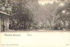 Hévíz, sétány, M arton Móricz