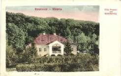 Beszterce, Bistrit z,