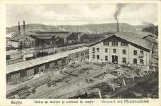 Páncélcseh, Pant iceu,