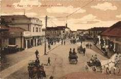 tér, gyógys 5000 21194.