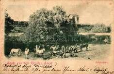 Leitha; Prugg k 1000 21475.