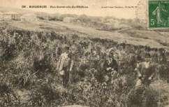 Boghar, Camp Su zoni