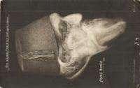 postcard, Apollon Sop 1000