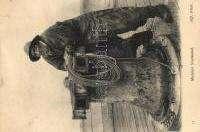 SS Ranchi, India Mail and