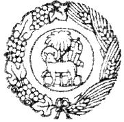 A HEIDELBERGI