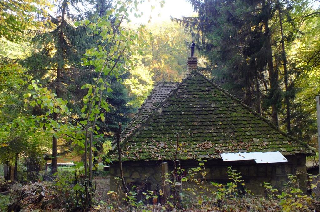 A település érdekes elemei a mai tanyáknak