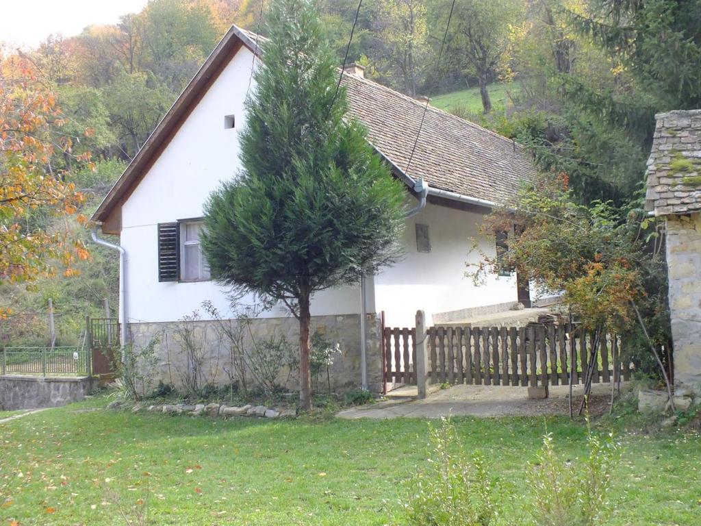 Fő utca 61.