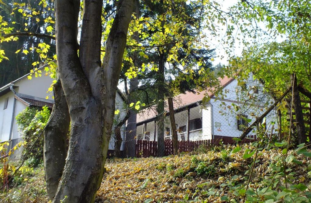 jellemzőket a
