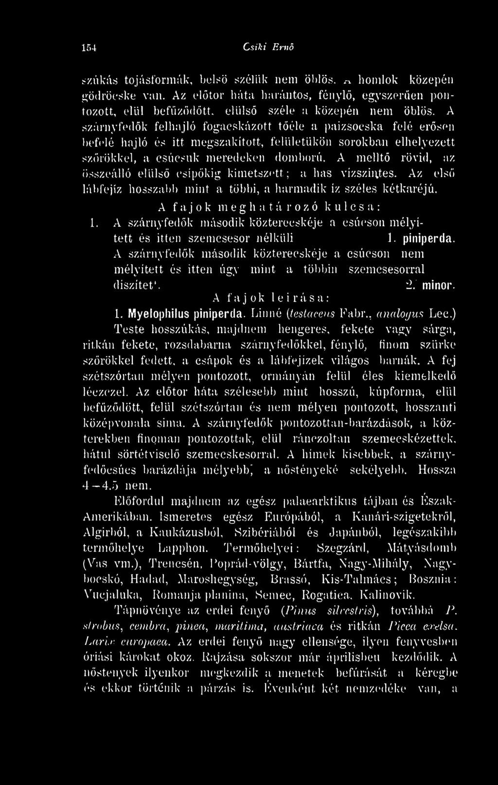 A szárnyfedk második közterecskéje a csúcson nem mélyített es itten úgy mint a töltin szemcsesorral diszitct'. 2. minor. A fajok l e i r á s a 1. Myelophilus piniperda. Linné {testacem Fabr.