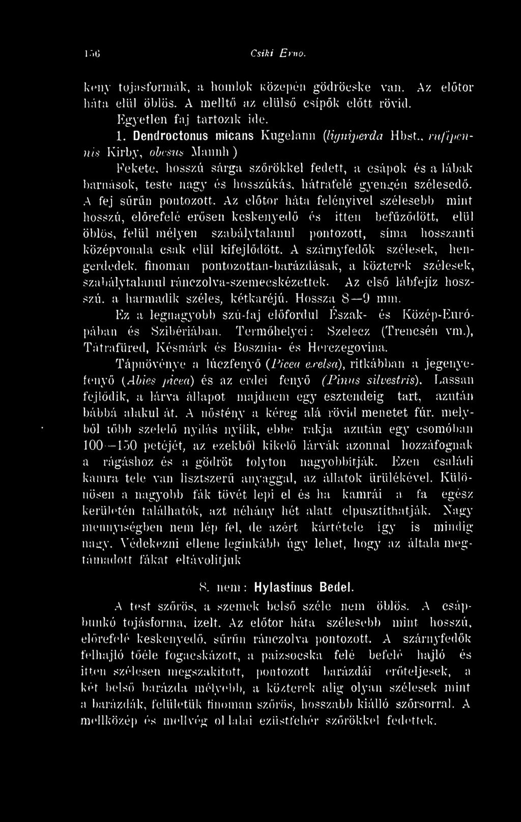 a harmadik széles, kétkaréjú. Hossza 8 9 mm. Ez a legnagyobb szú-faj elfordul Észak- és Közép-Európában es Szibériában. Termhelyei : (Trencsén vm.), Tátrafüred, Késmárk és Bosznia- és Herczegovina.