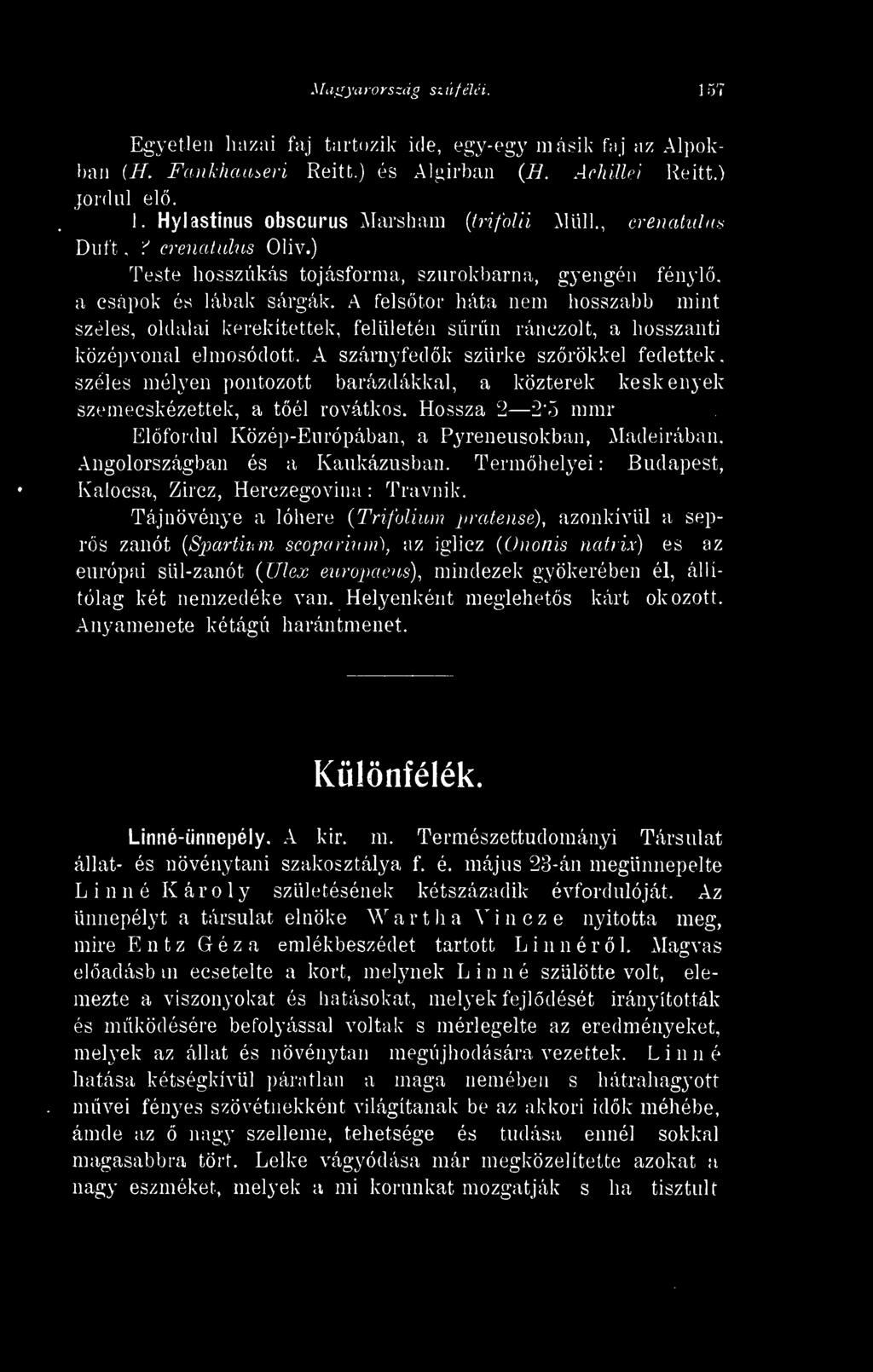 A felstor háta nem hosszabb mint szeles, oldalai kerekítettek, felületén srn ránczolt, a hosszanti középvonal elmosódott.