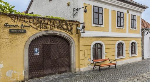 A kiállított harminc műből öt festmény, a többi tustechnikával készült grafika.