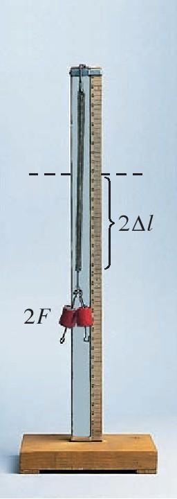 Rugalmas erő: A rugalmas tárgy alakváltozása (pl. rugó megnyúlása) egyenesen arányos a rugalmas erő nagyságával. Ezért lehet pl. a rugót erőmérőnek használni.