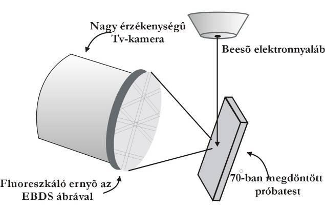Visszaszórtelektron diffrakció (EBSD) alkalmazási lehetőségei A szemcseorientáció meghatározásának legelterjedtebb módja a transzmissziós elektronmikroszkópos (TEM) vizsgálat.