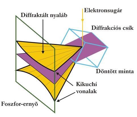 Az egyedi szemcseorientáció meghatározása a pásztázó elektronmikroszkópban (Scanning Electron Microscope, SEM) 1973-ban sikerült először.